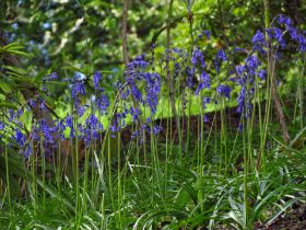 Wales2015-095.JPG