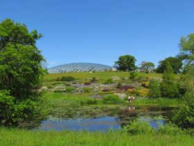 Wales2015-012.JPG