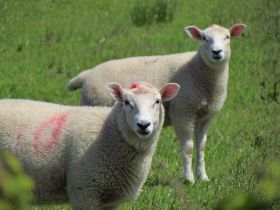 Wales2015-024.JPG