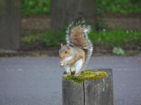 Wales2015-067.JPG
