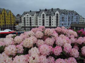 Geiranger2015-1181.JPG