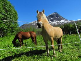 Geiranger2015-2065.JPG